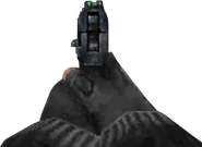 USP iron sights