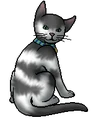 Smoky.kittypet