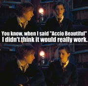 Accio-Beautiful-harry-potter-vs-twilight-18451801-500-487