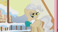The Mayor tells about the Wrap Up S1E11