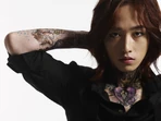 Dalmatianyoungwon