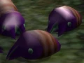 Male Sheargrub