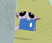 Kid-vs-Kat-kid-vs-kat-18911779-1366-1025
