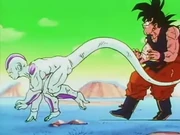 EP243