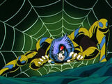 TarantulaArachne2