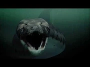 TITANOBOA MONSTER SNAKE