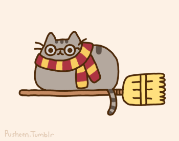 Harry potter pusheen