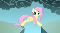Fluttershy realizes the gap is not big S1E07