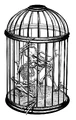 Caged5Legger.jpg