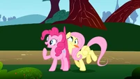 Fluttershy crashes against Pinkie S1E7