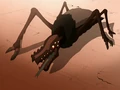 Canyon crawler.png