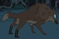 12.png