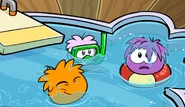 Puffles in pool