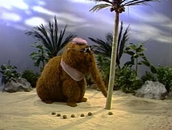 3181-Coconuts