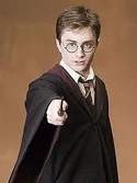 Potter 1