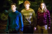 Potter 8