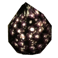 Punga seed