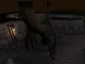 Searchingroots.png