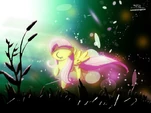 Fluttershy wallpaper by artist-graphicbrony