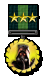 Medal-r1-fireteam