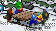 123kitten1withpenguins
