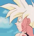 Gohan turles r