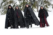 Unamed Volturi