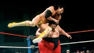 Raw 1-2-96 1