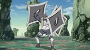 Toroi Shuriken Gigante