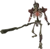 Skeleton Mage