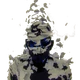 LPLTeditedsig