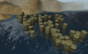 Lighthouse pathway