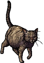 Leafstar.queen