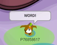 Noob