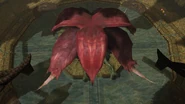Flaahgra dead
