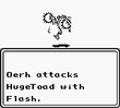 FFLII Flash