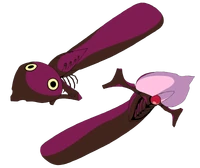 Shamsheldesign