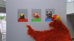 4305-Bird