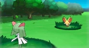 Fennel in battle