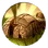 Longhouse (Civ5)