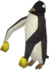 Ping