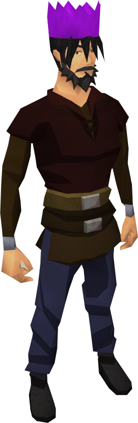 Purple partyhat equipped