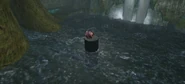 Life grove puzzle