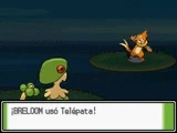 TelepataDPP.gif (369 KB) TelepataDPP