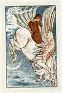 Bellerophon pegasus