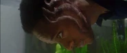 Darwin02