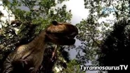 WDRARex