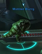 Mottled Blurrg