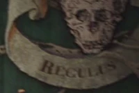 Regulus en el árbol