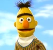 Bert